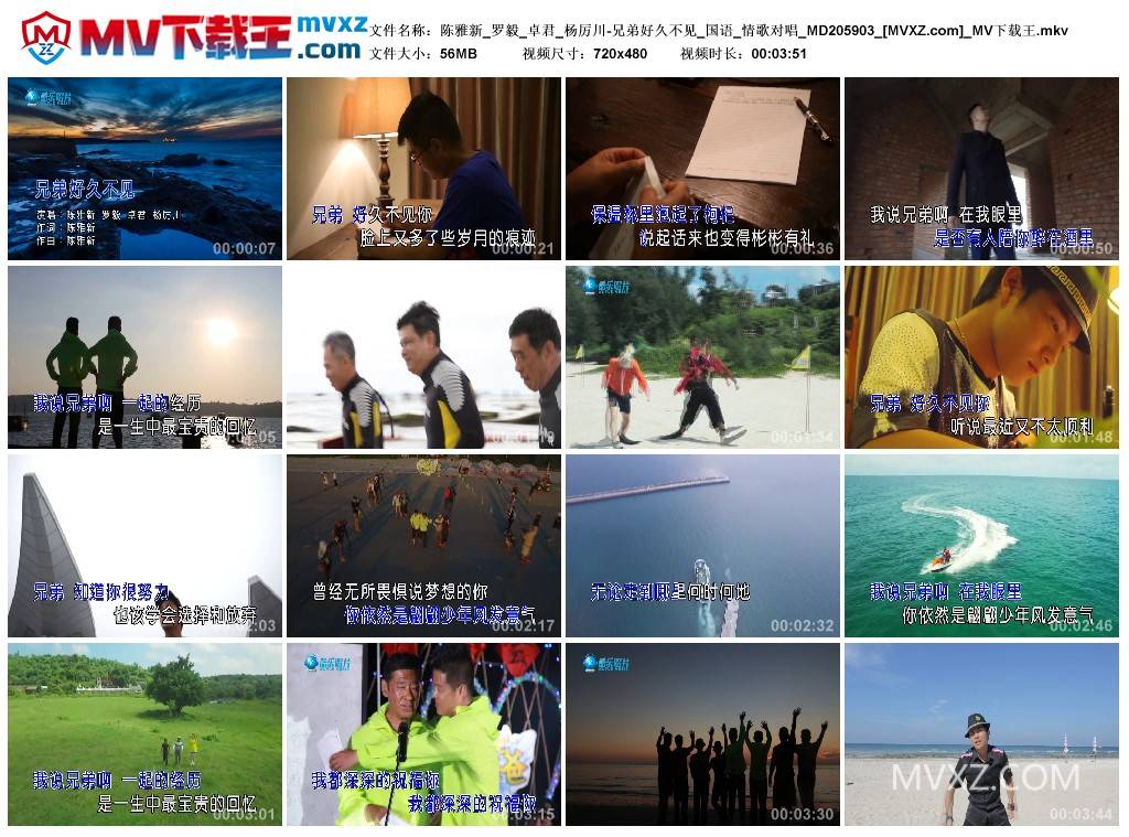 陈雅新_罗毅_卓君_杨厉川-兄弟好久不见_国语_情歌对唱_MD205903